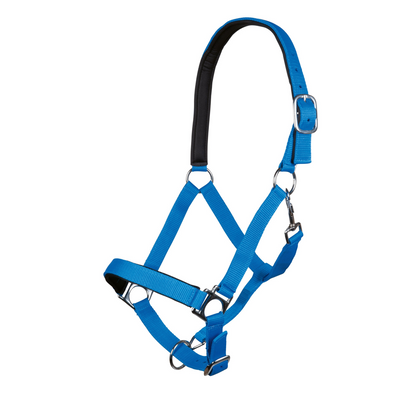 Stars Softice Head Collar With Padded Noseband & Headpiece - Horse Head Collar