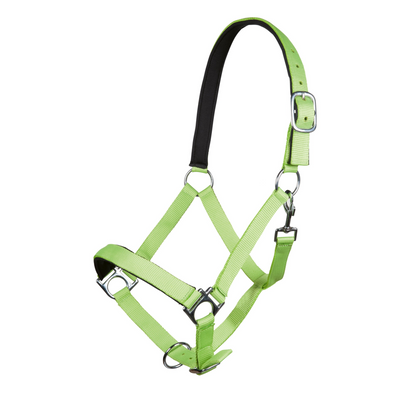 Stars Softice Head Collar With Padded Noseband & Headpiece - Horse Head Collar