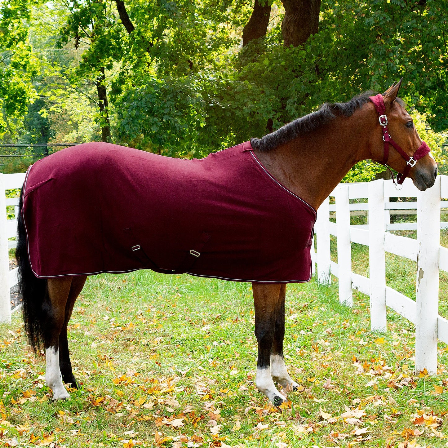 Horze Kiel Halter with Fleece
